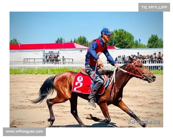 2018内蒙马术赛事激情开赛草原英雄竞逐荣耀