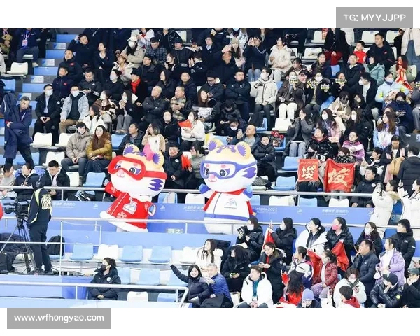 中国最受欢迎的体育赛事