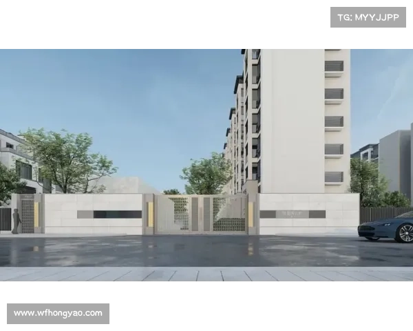 周日宁静的赛事视频、周日宁静马主