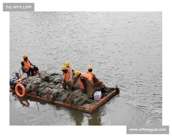 抛投集锦—2024年度抛投比赛赛事规程全面解析规则详解流程步骤及参赛注意事项