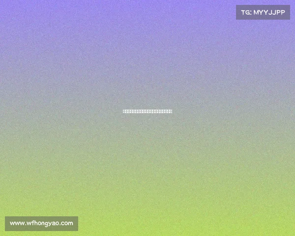 电子竞技参赛选手英文、电竞选手的荣耀征程